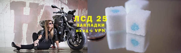 spice Алзамай